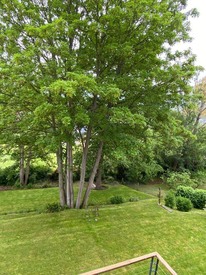 Maison d’hôte pour 4 personnes, avec vue et jardin à Houlgate - 2