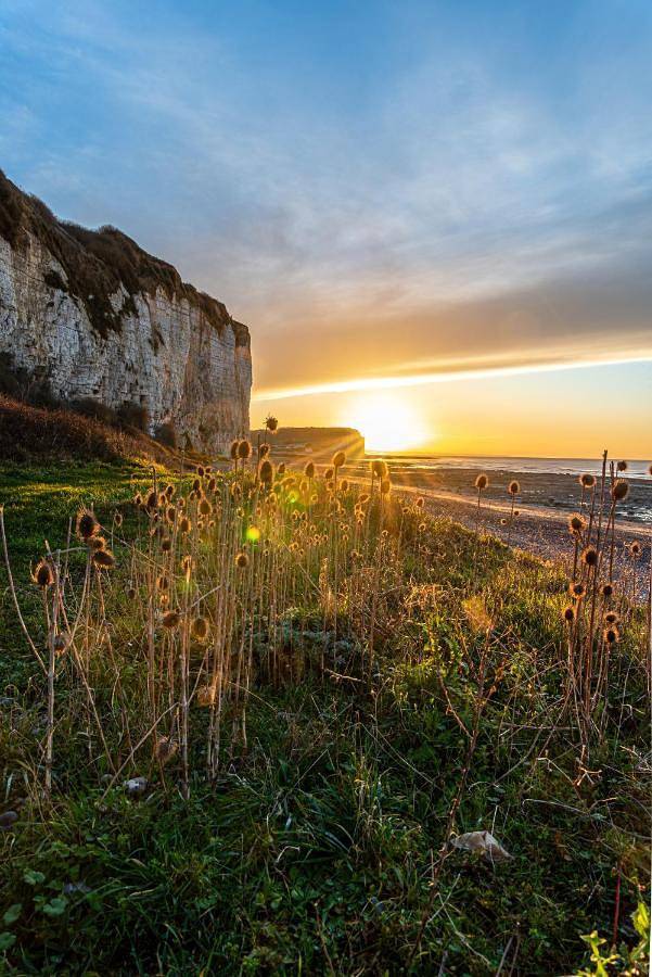 Location de vacances pour 4 personnes, avec vue et jardin, animaux acceptés dans Plage Du Mesnil Val Criel Sur Mer - 4