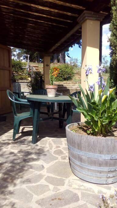 Casa Belvedere -tranquillità tra bosco e ulivi- in Riparbella, Etruskische Küste
