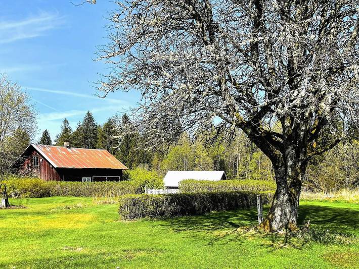 Ferienhaus für 3 Personen, mit Garten, mit Haustier in Herrljunga - 4