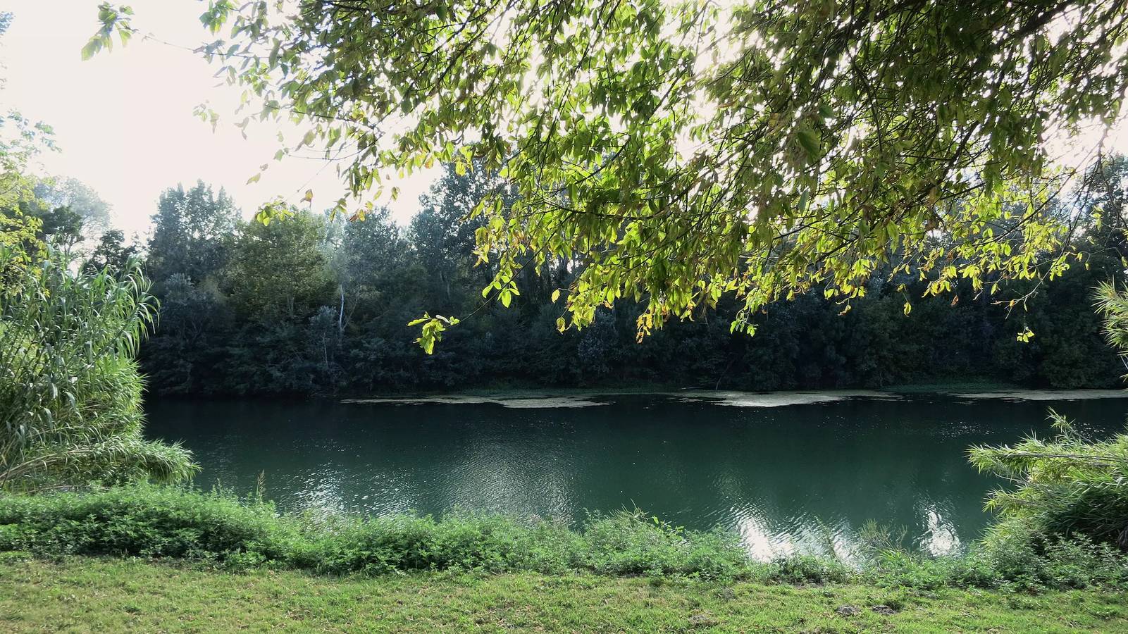 Chalet Les Lauriers 2 dormitorios 4 personas, 30 m2, (2007) in Montfrin, Region de Nimes