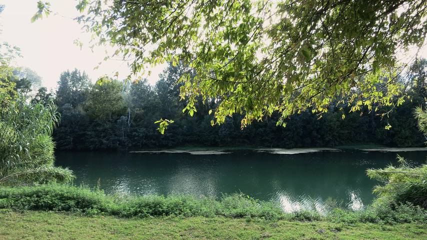 Gîte pour 4 personnes, avec terrasse, animaux acceptés à Montfrin - 2