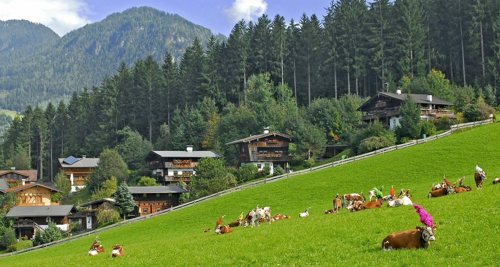 Ganze Ferienwohnung, Reither Almen - Exklusive Apartments in Reith im Alpbachtal, Kitzbüheler Alpen