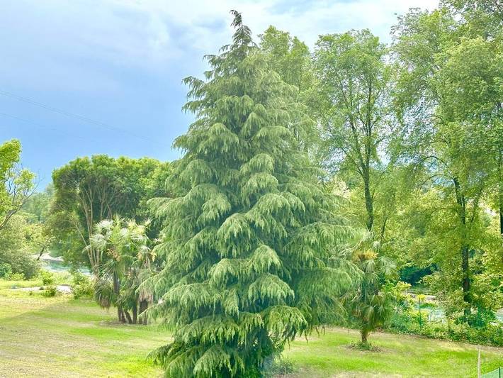 Gîte pour 5 personnes, avec balcon et vue, animaux acceptés à Bassano del Grappa - 2