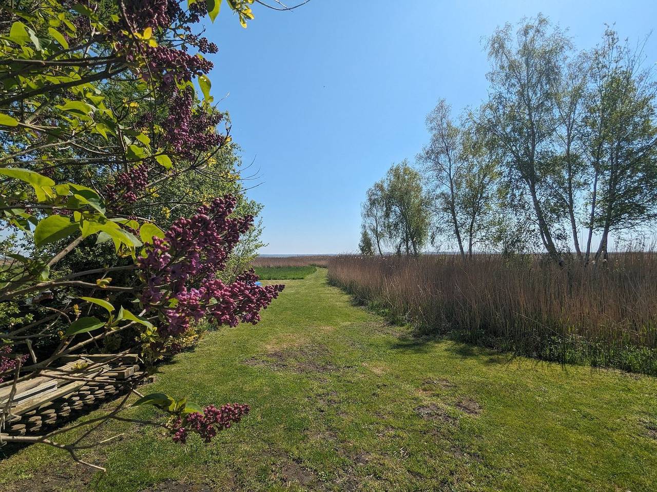 Ganze Wohnung, Kleine Dachwohnung am Bodden in Born a. Darß, Born am Darß