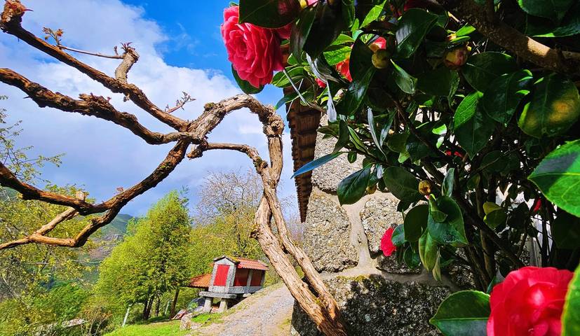 Finca für Gruppen für 5 Personen, mit Garten und Balkon in Portugal - 2