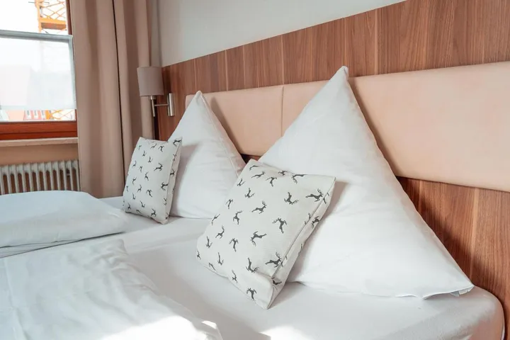 Hotel para 1 personas, Se admiten mascotas - 1
