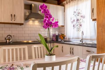 Casa Rural para 4 Personas en Tijarafe, La Palma Norte, Foto 4