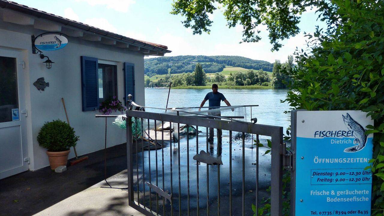 Ganze Ferienwohnung, Ferienwohnung für 4 Personen (62 m²) in Öhningen in Öhningen, Untersee