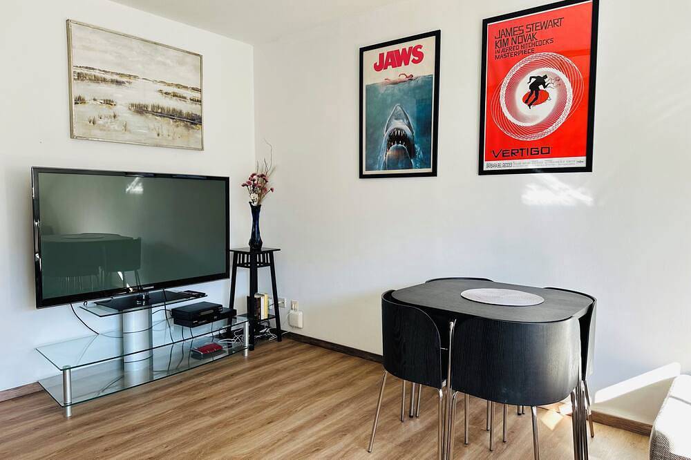 Ganze Wohnung, Haustierfreundliche Einzimmer-Ferienwohnung am Kurpark in Bad Rodach, Oberes Maintal - Coburger Land