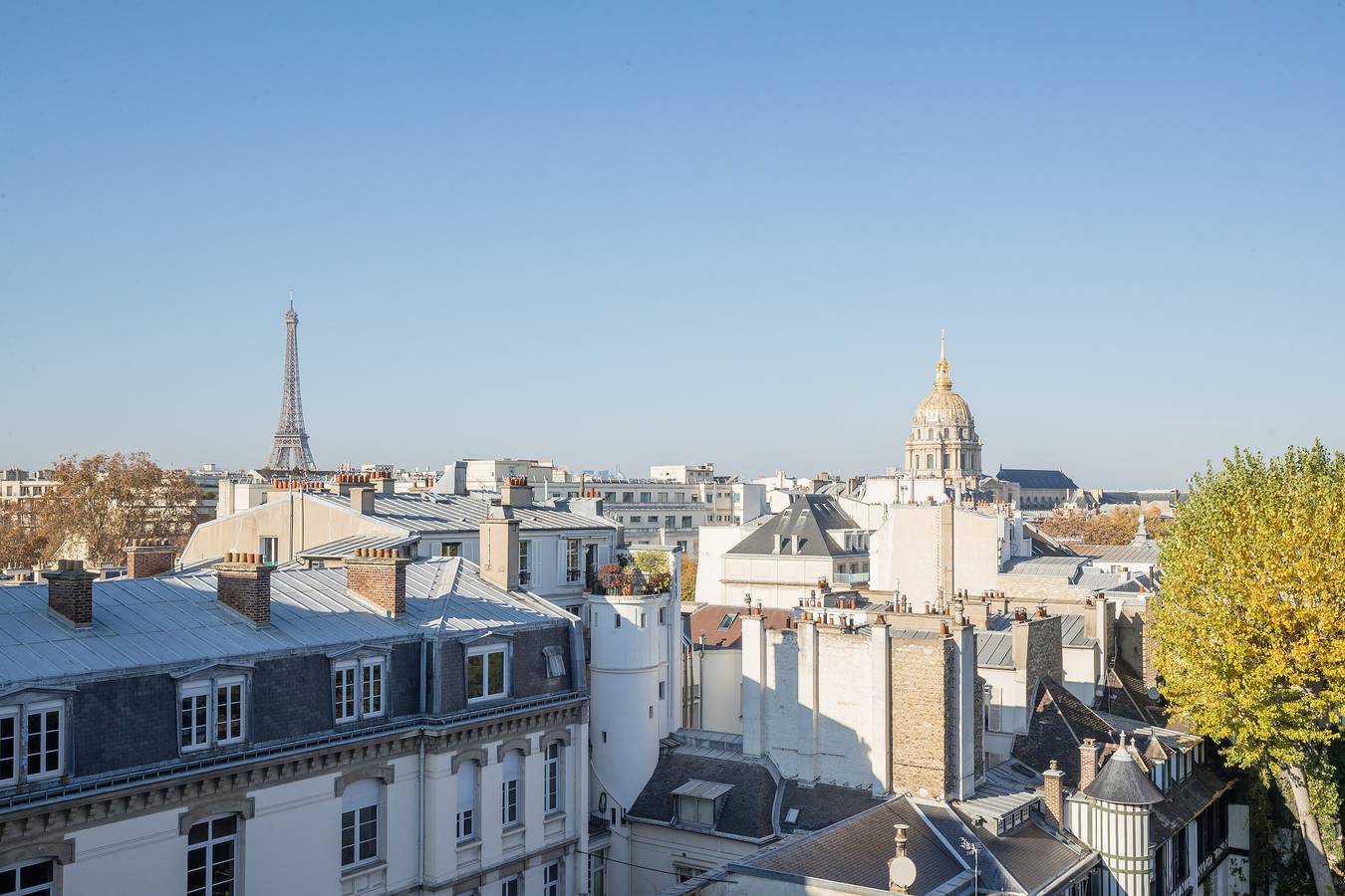 Eiffel Tower view  terrace Saint Germain des Pres in Paris, Ile de France