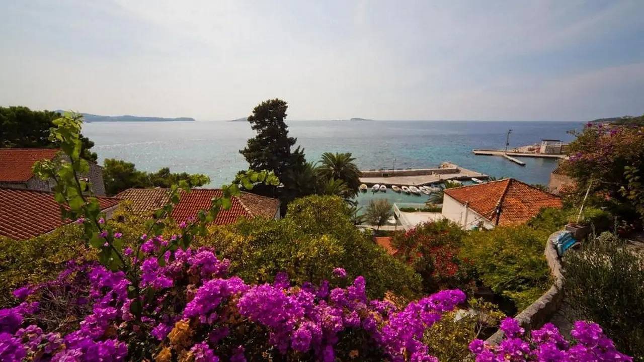 Entire holiday apartment, Holiday apartment for 3 people with garden in Mlini, Dubrovnik-Neretva