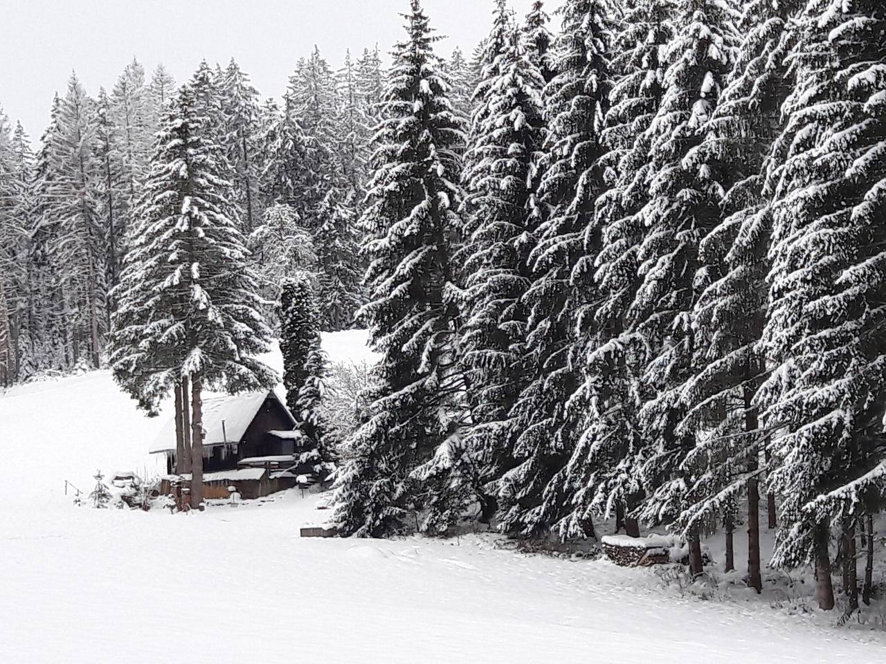 Ferienhaus 'Mühle Am Wolfsgrund' mit Bergblick, Privater Terrasse und Privatem Garten in Unterkirnach, Mittlerer Schwarzwald