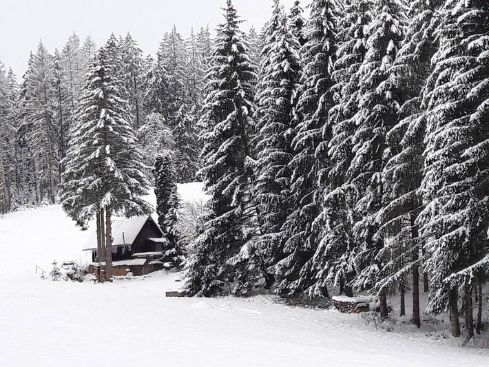 Ferienhaus für 4 Personen, mit Garten und Balkon in Mittlerer Schwarzwald - 2