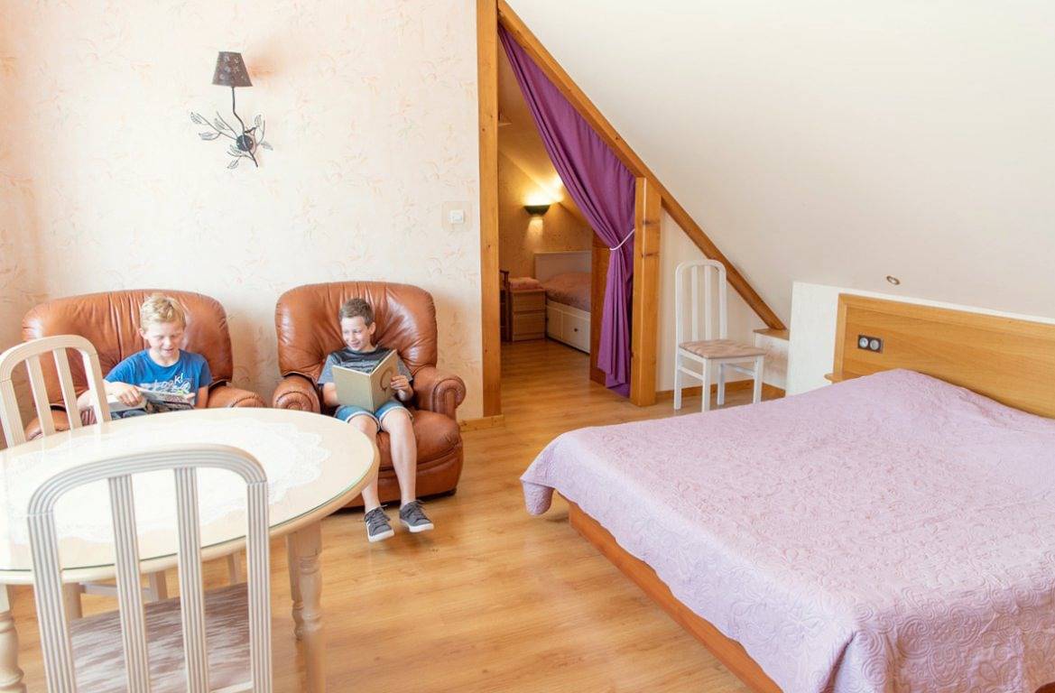Studio entier, Gite Rose des vignes in Orschwiller, Région de Sélestat-Erstein