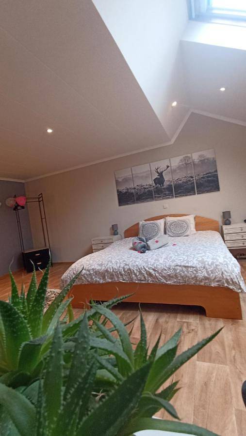 Chambre d’hôte pour 3 personnes, avec jardin et vue à Vielsalm - 3