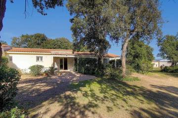 Location De Vacances pour 2 Personnes dans Porto-Vecchio, Arrondissement de Sartène, Photo 1