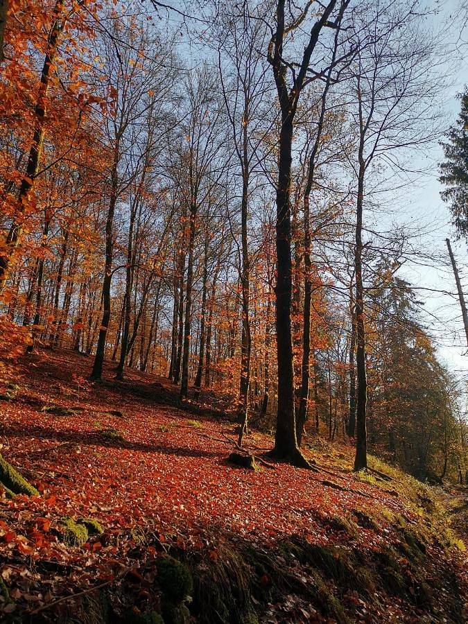 Location de vacances pour 10 personnes, avec vue et jardin à Florenville - 4