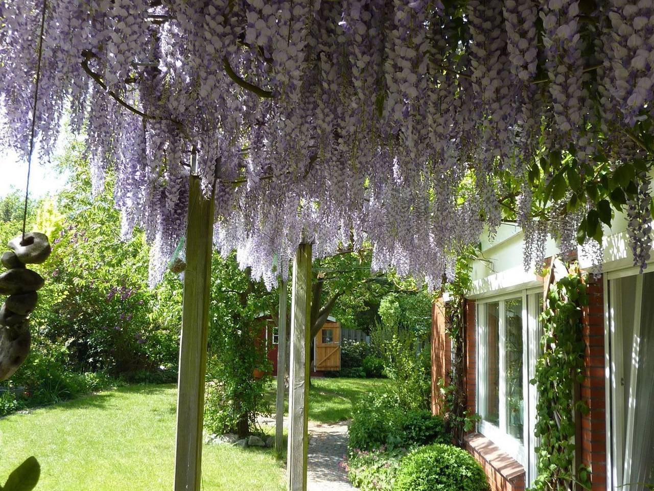 Hauptbild
