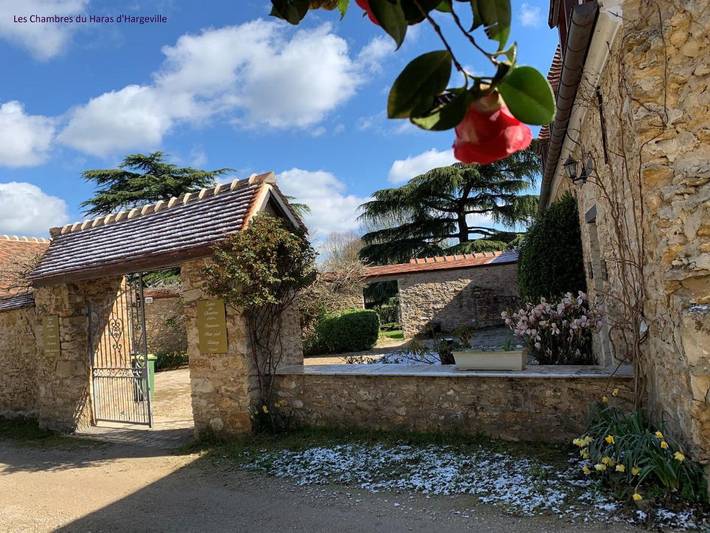 Gîte pour 2 personnes, animaux acceptés à Hargeville - 2