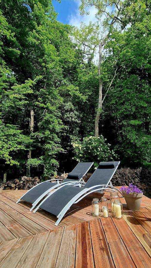 Location de vacances pour 13 personnes, avec jacuzzi ainsi que jardin et piscine à Gouvieux - 3