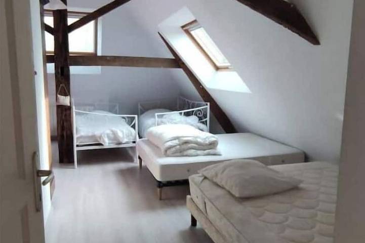 Spacious country home ideal for 4 families with kids in Madré, Mayenne