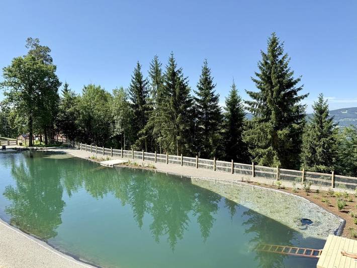 Ferienhaus für 6 Personen, mit Balkon und Terrasse sowie Garten und Sauna in Pöllauberg - 3