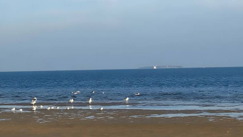 Ferienhaus für 3 Personen, mit Garten, mit Haustier in Mecklenburg-Vorpommern - 2