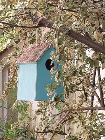 Gîte pour 2 personnes, avec jardin à Rosny-sous-Bois
