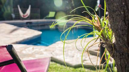 Feriehus til 20 Personer i Marbella Øst, Marbella, Bilde 4