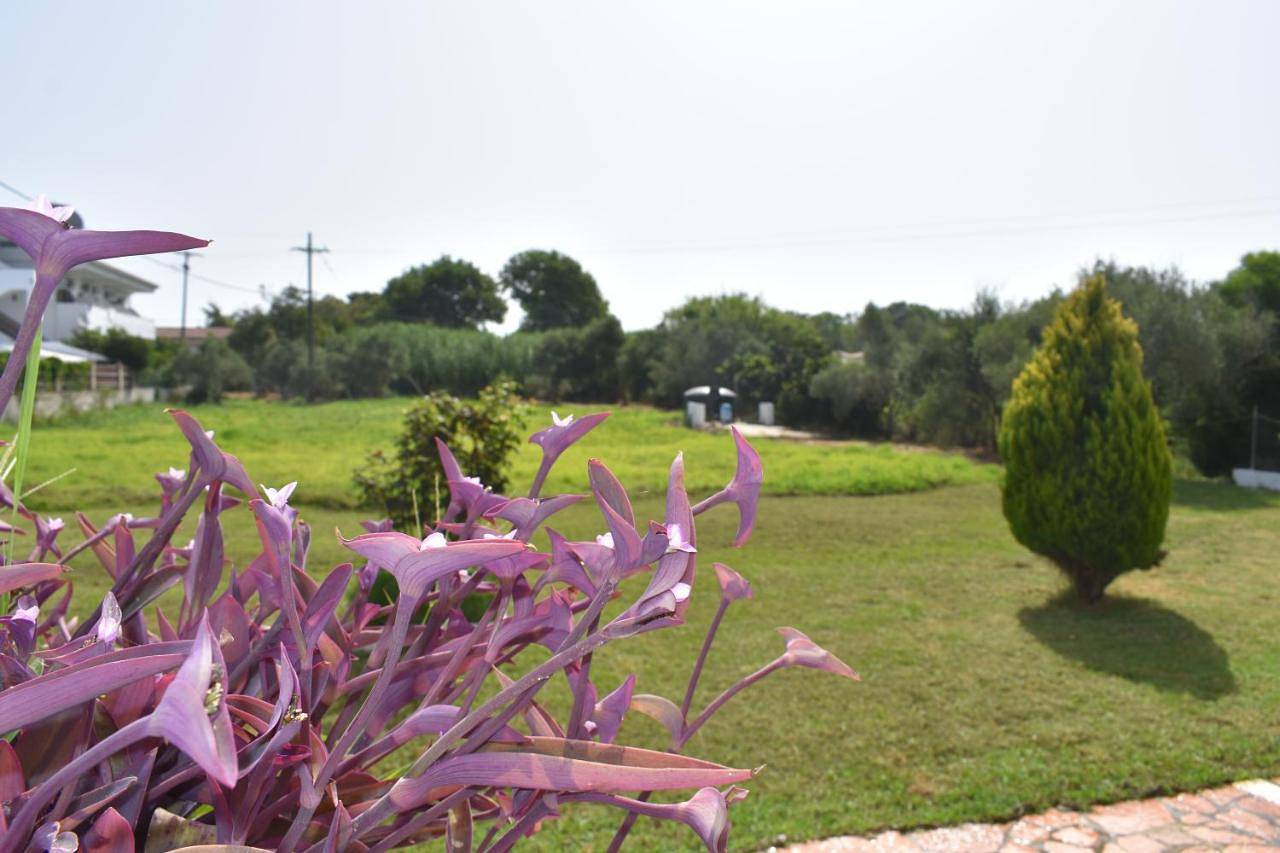 Kokkinia Gardens in Kavos, Corfou