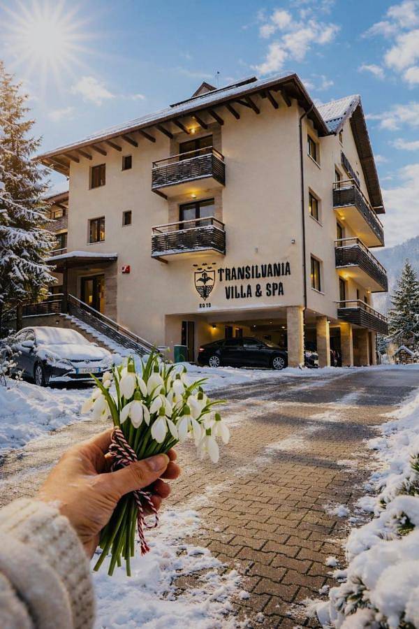 Transylvania Villa & Spa in Cluj-Napoca