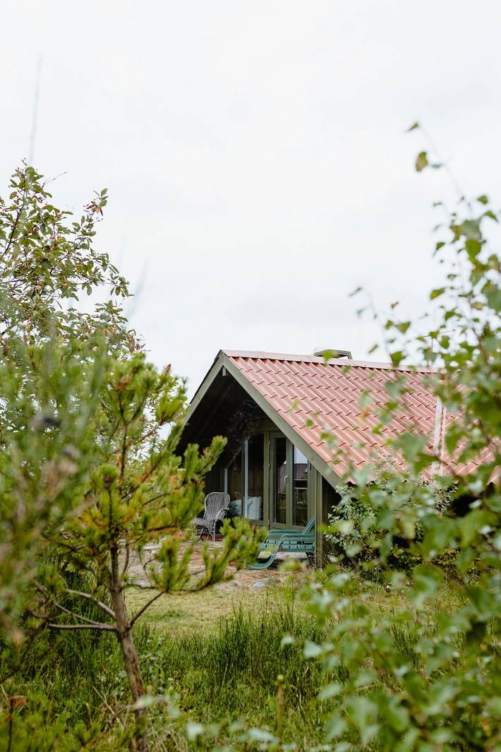 Ferieudlejning for 5 personer, med terrasse, husdyr tilladt i Rågeleje
