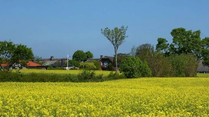 Ferienhaus für 4 Personen, mit Garten und Terrasse in Olpenitzdorf - 4
