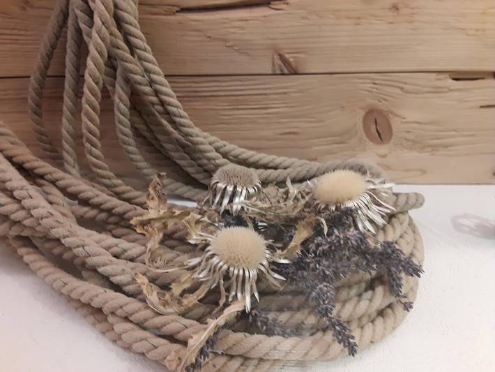 Bauernhaus für 3 Personen, mit Garten und Whirlpool sowie Sauna im Oberallgäu - 4