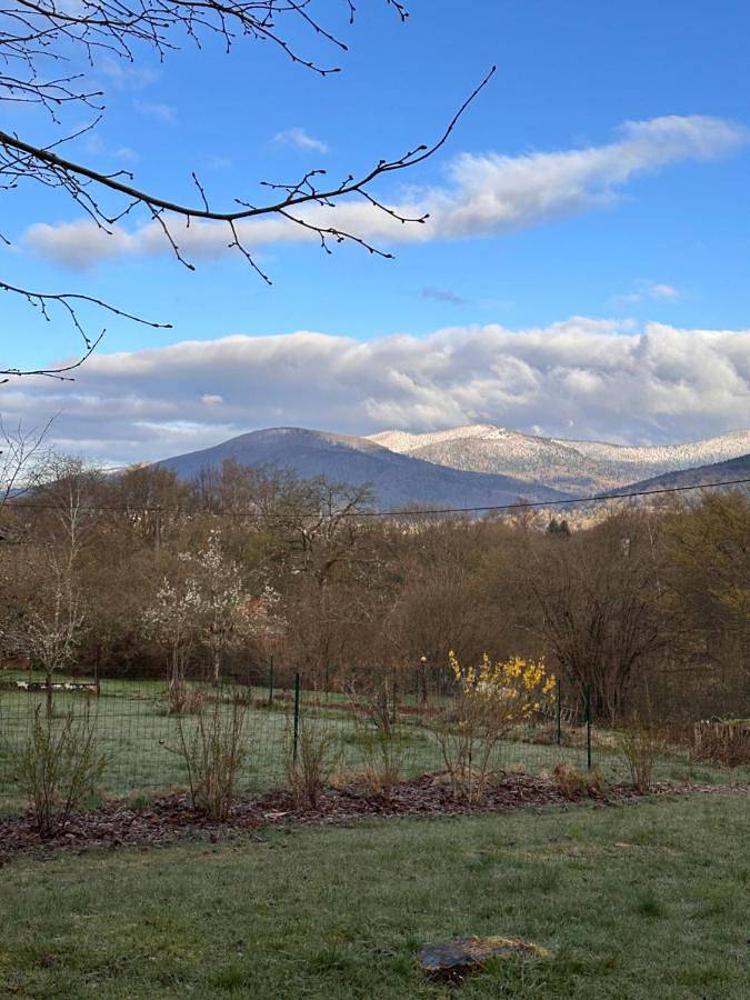 Gîte pour 2 personnes, avec vue à Rougegoutte - 4