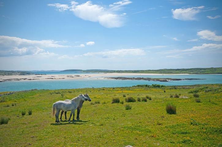 Ferienhaus für 9 Personen, mit Haustier in County Galway - 2