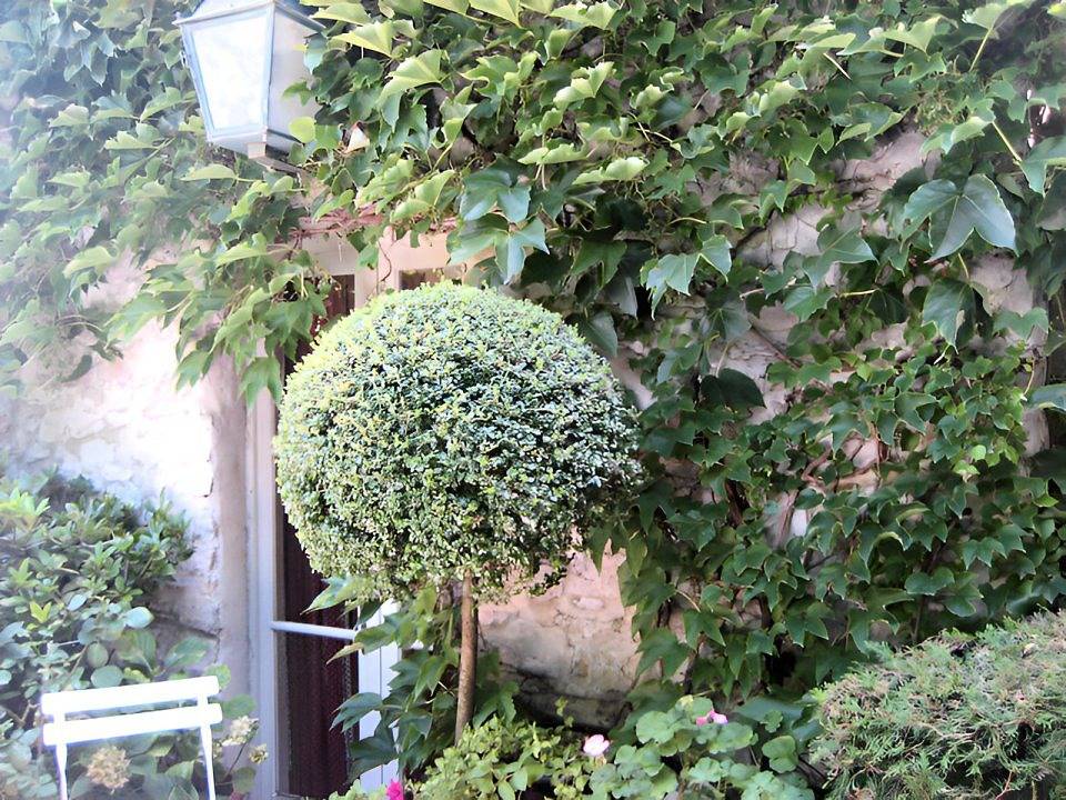 L'Evêché - Chambre Jaune Vert in Vaison-la-Romaine, Parc naturel régional du Mont-Ventoux