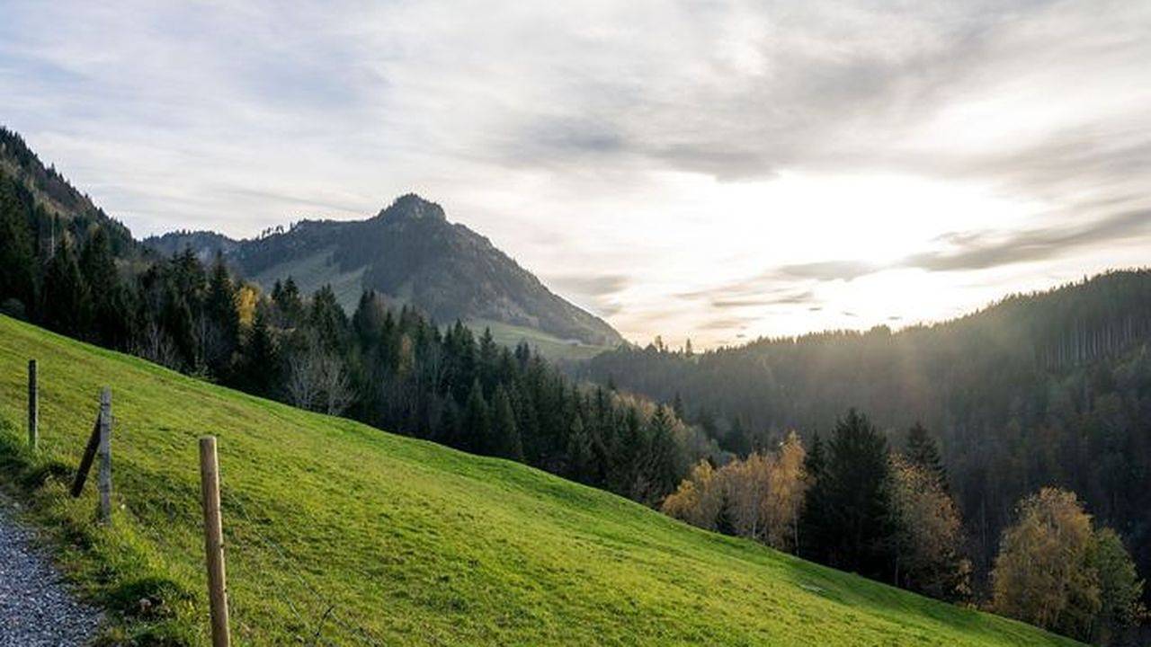 Ganze Ferienwohnung, Ferienwohnung für 4 Personen (60 m²) in Lech am Arlberg in Lech am Arlberg, Arlberg