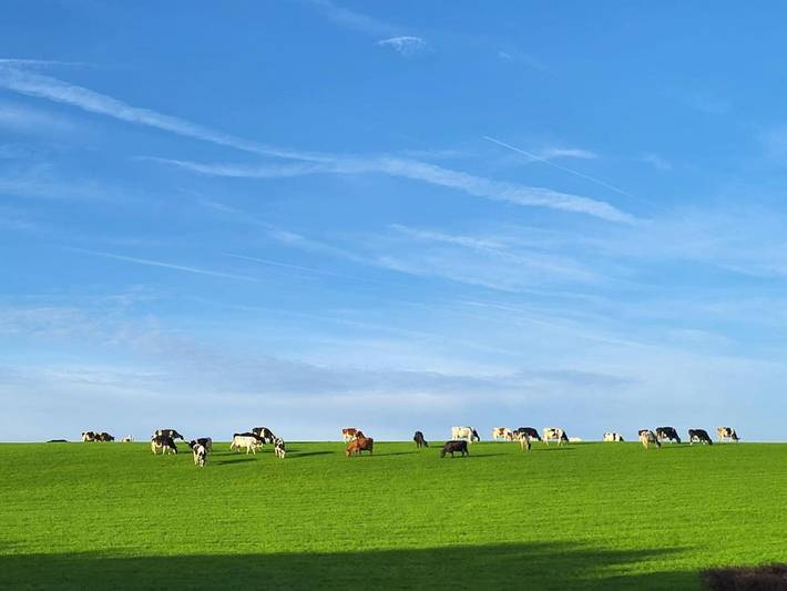 Chambre d’hôte pour 2 personnes, avec jardin ainsi que piscine et vue à Fauquemont - 3