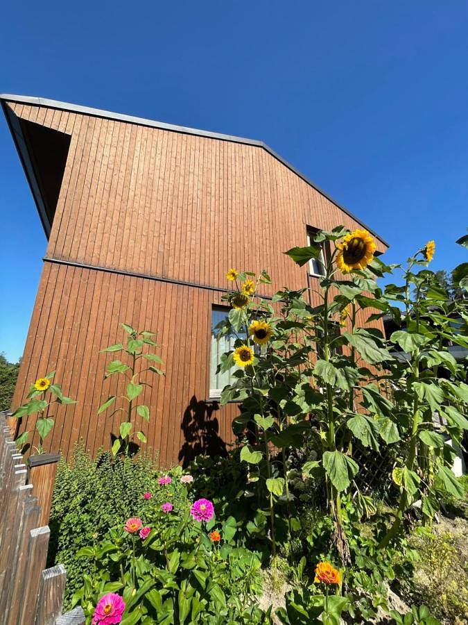 Ferienwohnung für 3 Personen, mit Ausblick und Garten sowie Terrasse, mit Haustier - 1