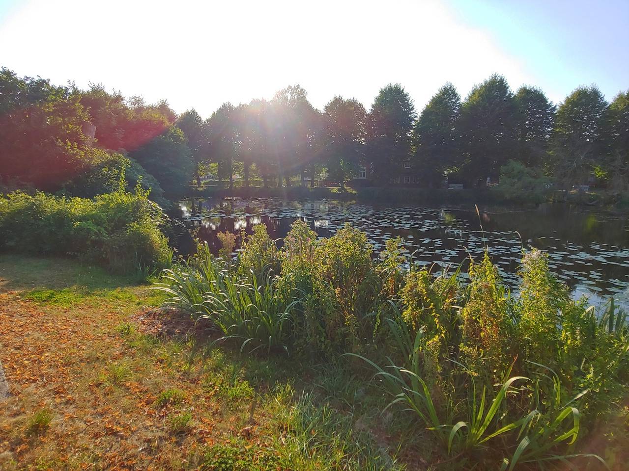 Ferienhaus  "Kleinod" in Boizenburg/Elbe, Ludwigslust-Parchim