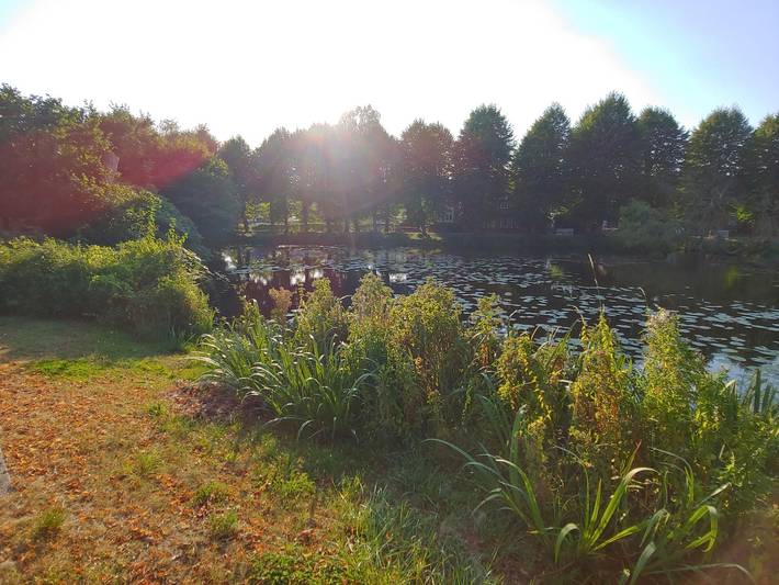 Ferienhaus für 6 Personen, mit Terrasse in Mecklenburgisches Elbetal - 4