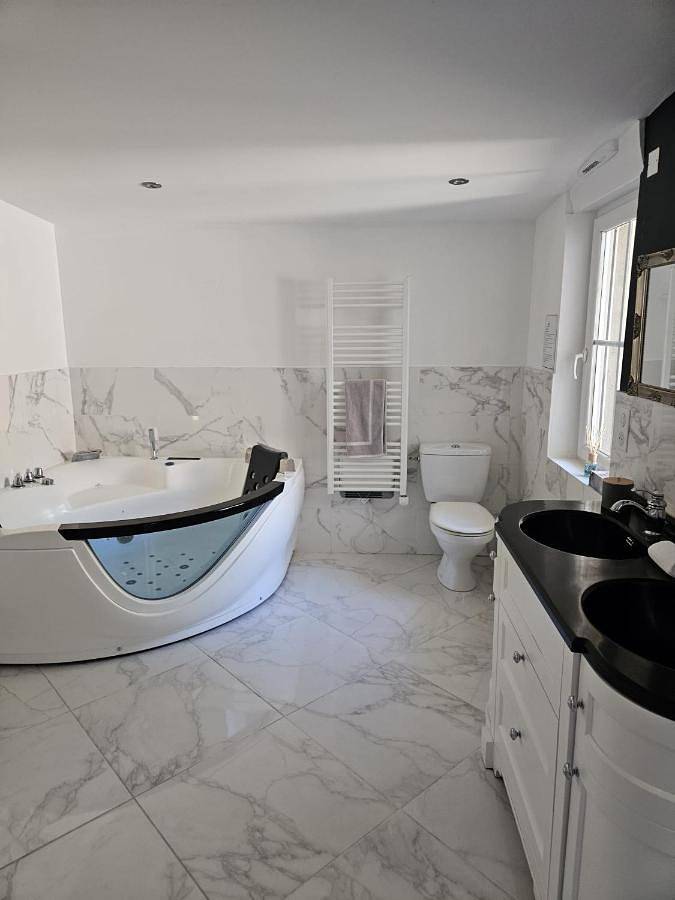 Maison d’hôte pour 4 personnes, avec Jacuzzi et Terrasse ainsi que Jardin et Piscine à Yvré-l'Évêque - 4