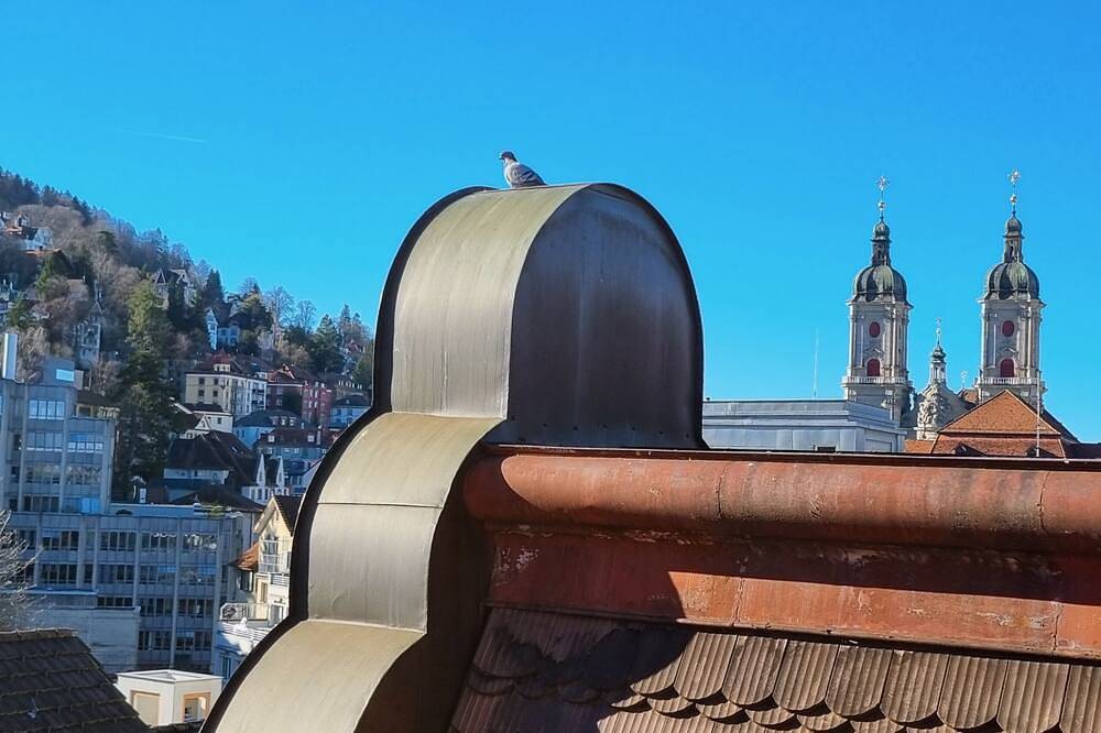 Appartamento intero, Lovely Calm & New Renovated | Near Trade Fair | Fast Wifi\n in San Gallen (Svizzera), Bodensee-Svizzera