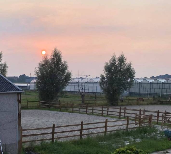 Guestroom in our horsefarm in East Flanders