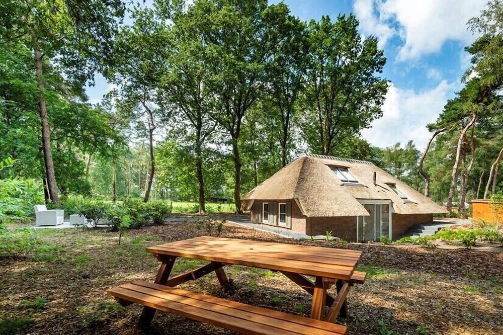 Lodge voor 6 Personen in Putten, Veluwe