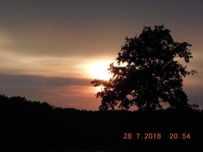 Ferienhaus für 2 Personen, mit Terrasse in Mecklenburgische Seenplatte - 3