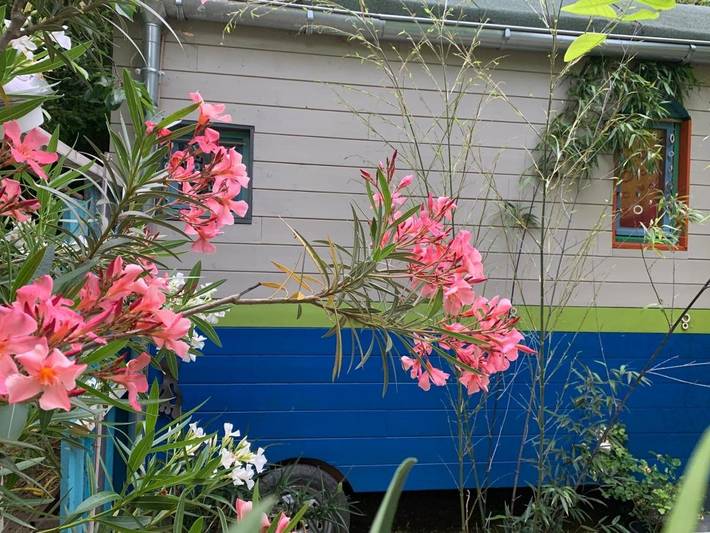 Tente pour 2 personnes, avec jardin et vue, animaux acceptés dans les Bouches-du-Rhône - 3