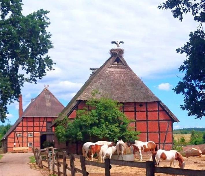 Ferienhaus für 4 Personen, mit Terrasse und Ausblick sowie Garten - 1